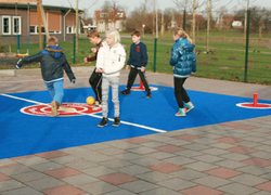 Normal_pingelveld_2